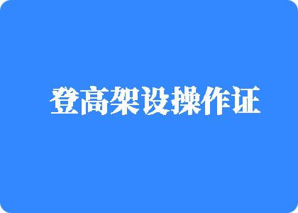 黄色干B视频登高架设操作证